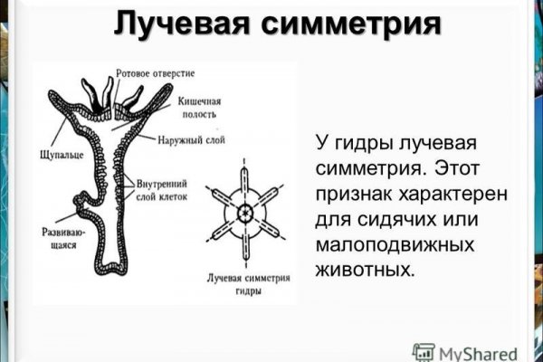 Kraken маркетплейс kr2web in