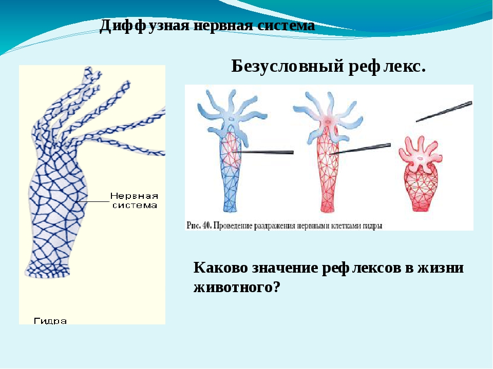 Работает ли кракен